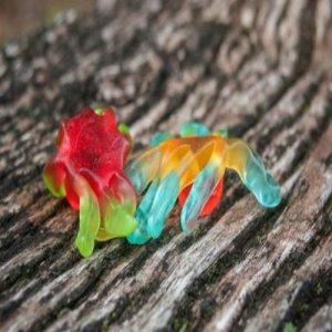 Unlocking Happiness: Best Magic Mushroom Gummies for Bliss